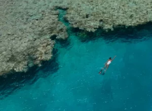 eco-resorts with coral reef conservation