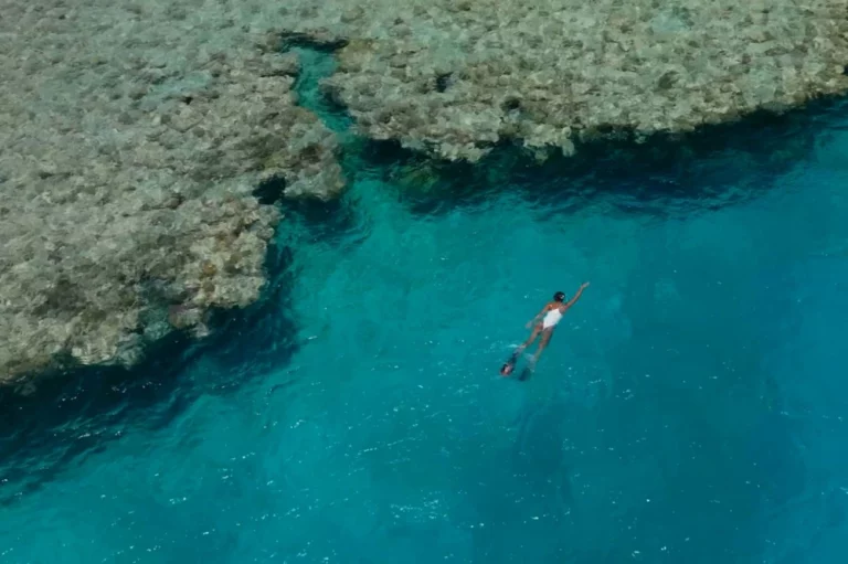 eco-resorts with coral reef conservation