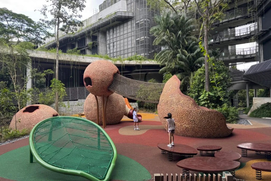 Mandai Rainforest Resort Singapore Zoo Night Safari access