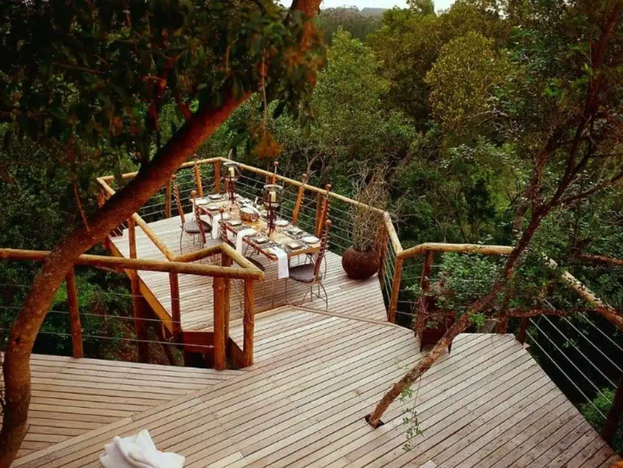 Tsala Treetop Lodge South Africa canopy suite with plunge pool