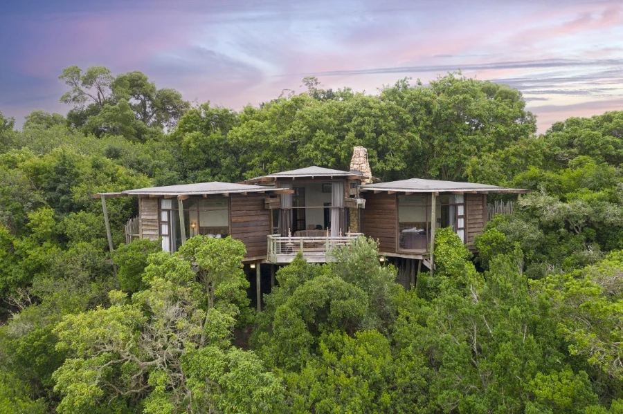 Tsala Treetop Lodge Garden Route unique hotel stay forest deck