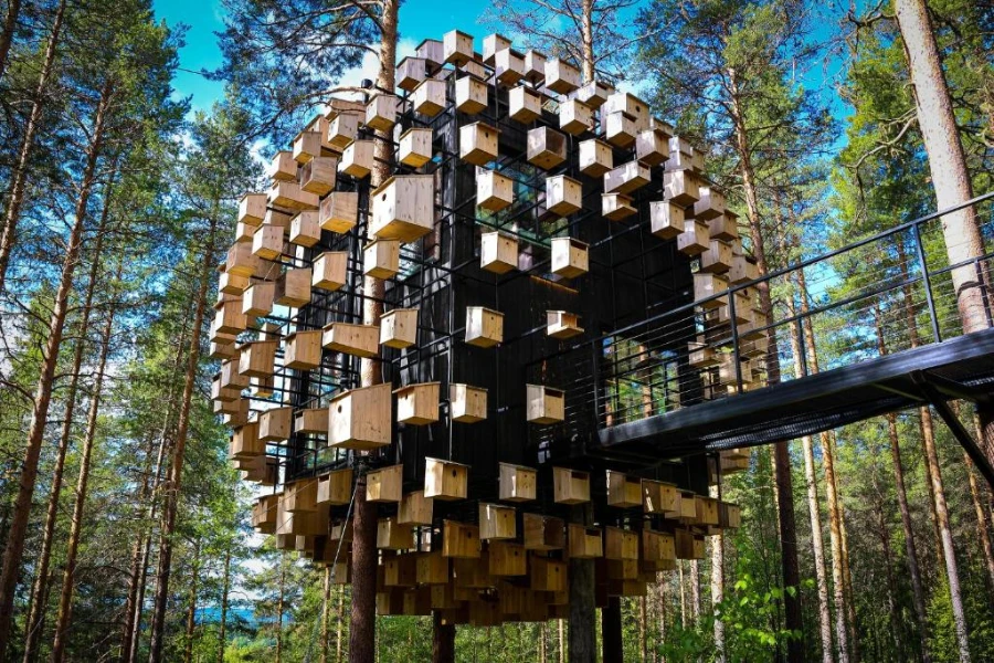 Treehotel Harads Sweden mirrorcube treehouse in forest
